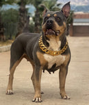 The Heracles XL | <br /> Cuban Link Collar