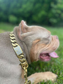 The Heracles | <br /> Cuban Link Collar