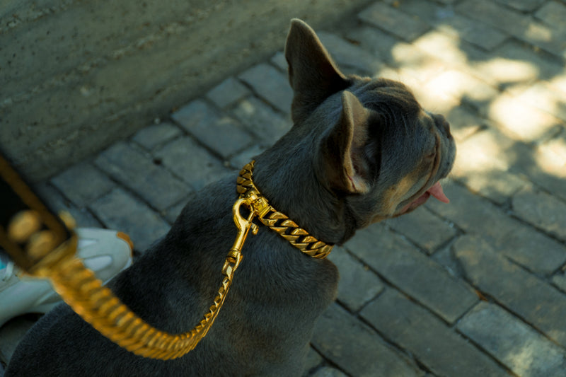 The Hermes | <br /> Small Gold Cuban Link Collar